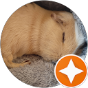 FulgorOfFreedom profile picture