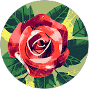 Cristina Rodriguez profile picture